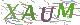 验证码