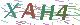验证码