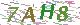 验证码