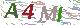 验证码