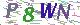 验证码