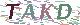 验证码