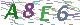 验证码