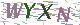验证码