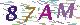 验证码