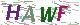 验证码