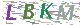 验证码