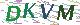 验证码
