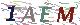 验证码