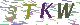 验证码
